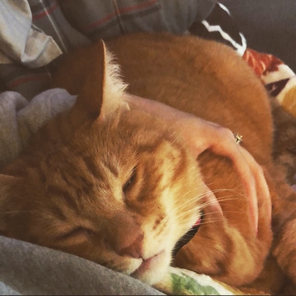 Meet your Posher, Andrea - Picture 5 of 8